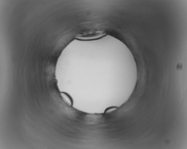 X0000112530480200909071402