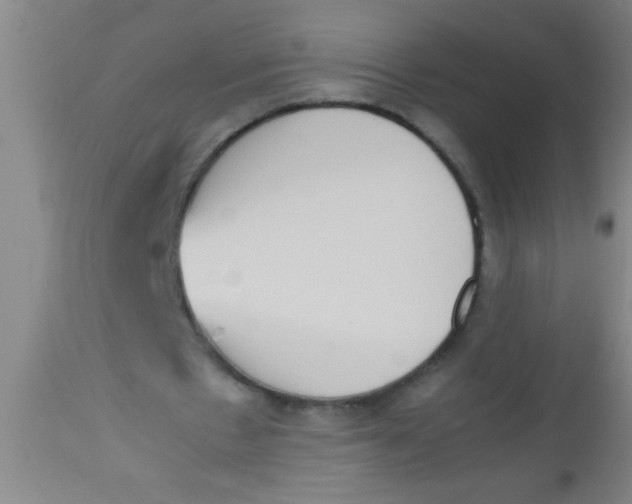 X0000112530481200909071401