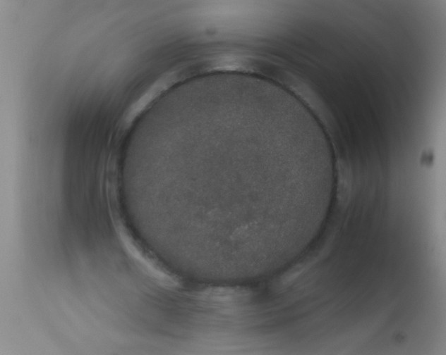 X0000112530482200909071401