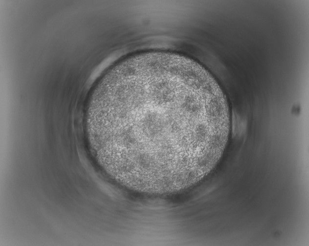 X0000112530483200909071401