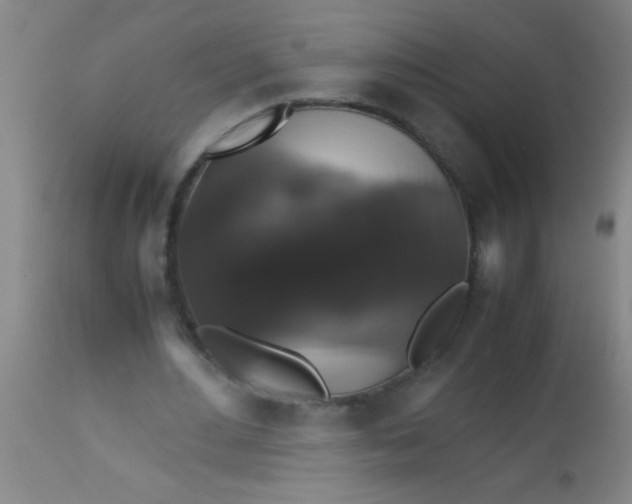 X0000112530484200909071401