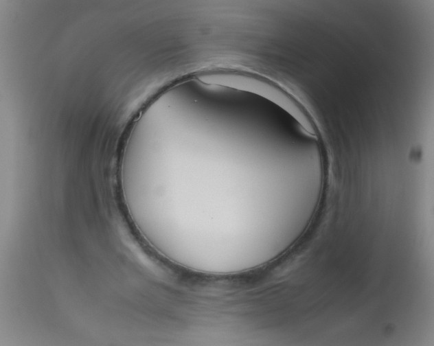 X0000112530485200909071401