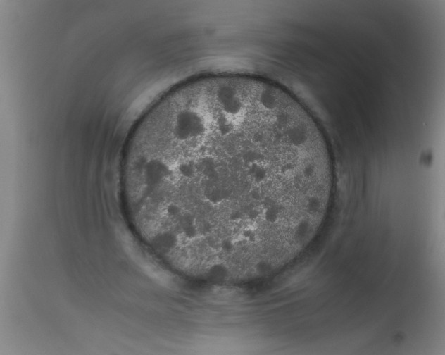 X0000112530487200909071401