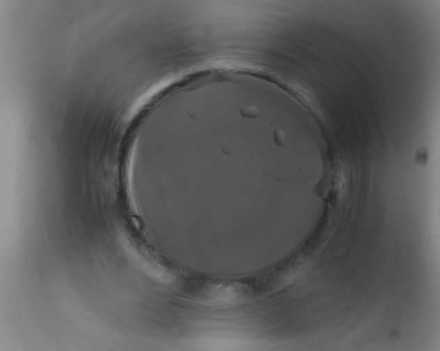 X0000112530488200909071401