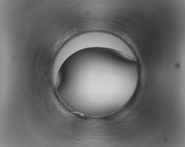 X0000112530489200909071401