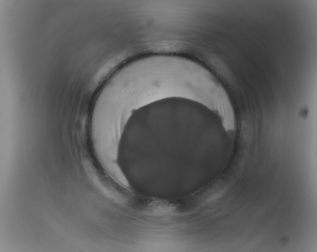 X0000112530491200909071401