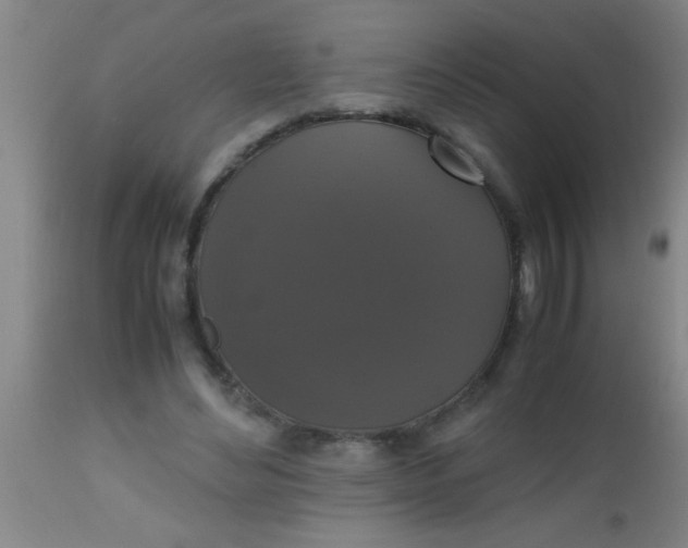 X0000112530492200909071401