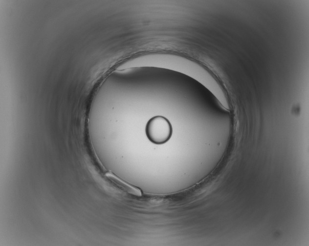 X0000112530493200909071401