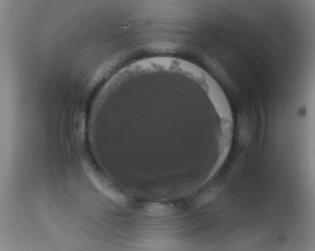 X0000112530494200909071401