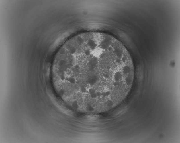 X0000112530495200909071401