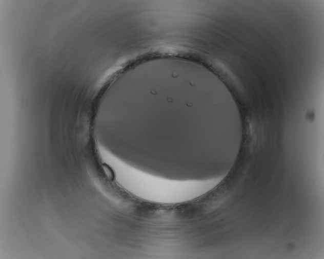 X0000112530496200909071401