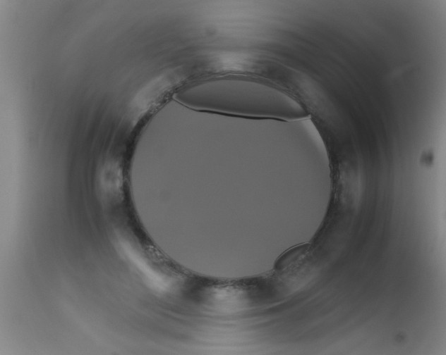 X0000112530500200909071401