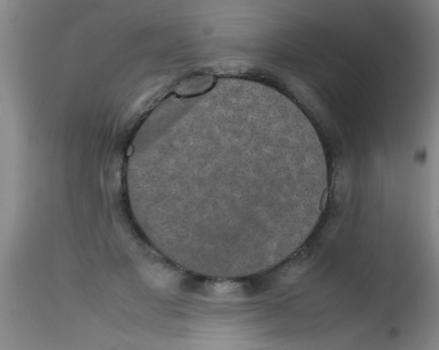 X0000112530501200909071401