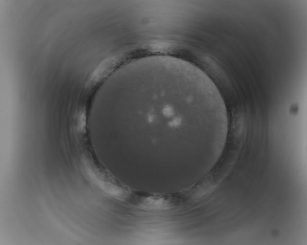 X0000112530502200909071401