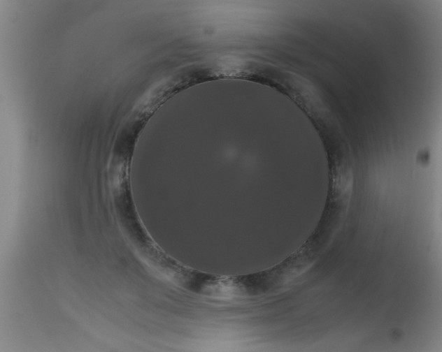 X0000112530503200909071401