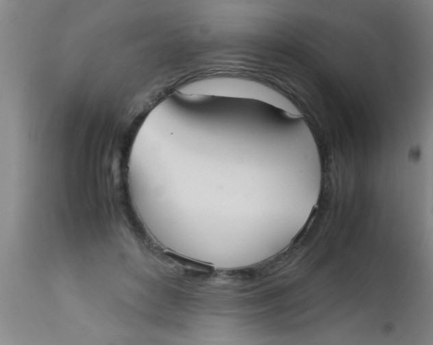 X0000112530504200909071401