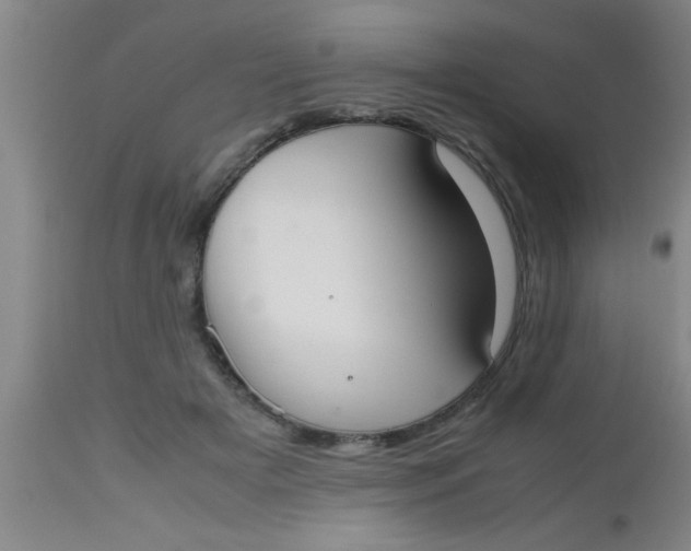 X0000112530505200909071401