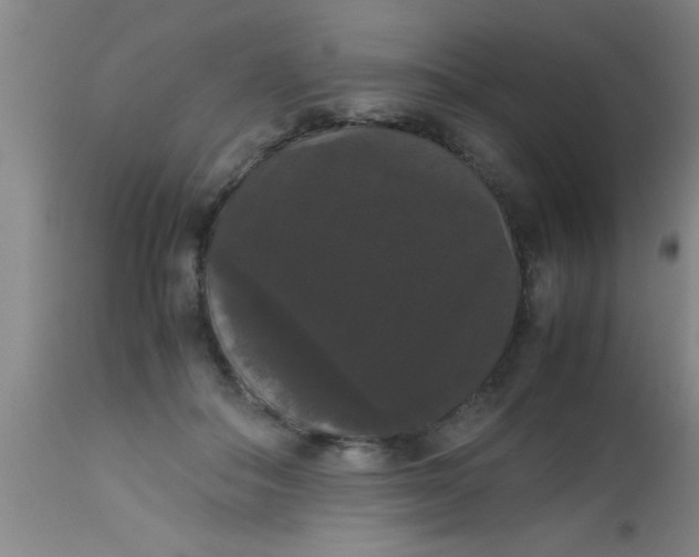 X0000112530506200909071401