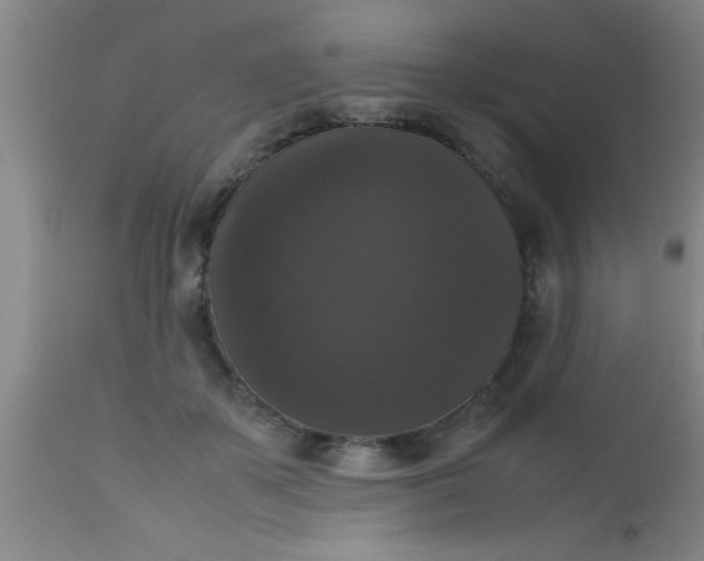 X0000112530507200909071401