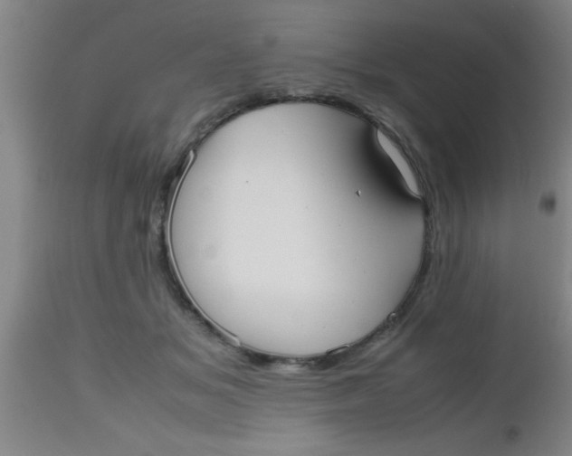 X0000112530509200909071401