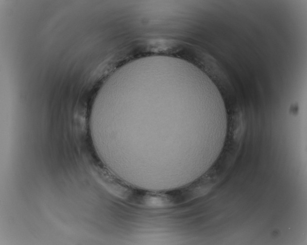 X0000112530510200909071401