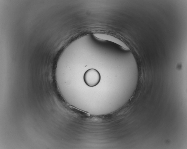 X0000112530512200909071401