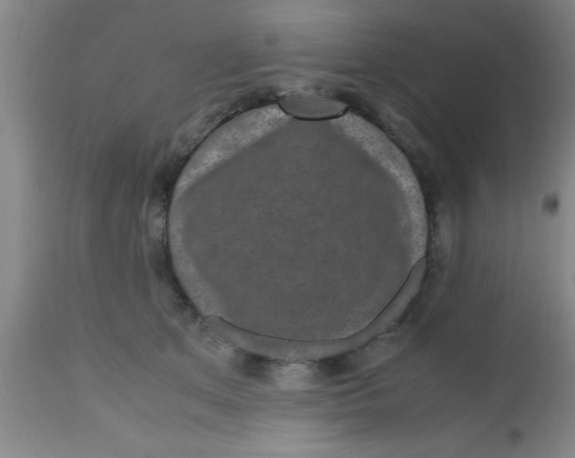 X0000112530513200909071401