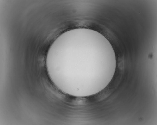 X0000112530514200909071401