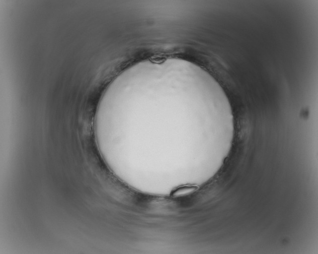 X0000112530515200909071401