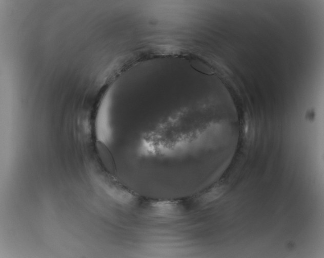 X0000112530516200909071401