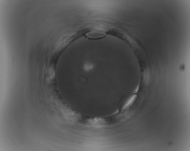 X0000112530517200909071401