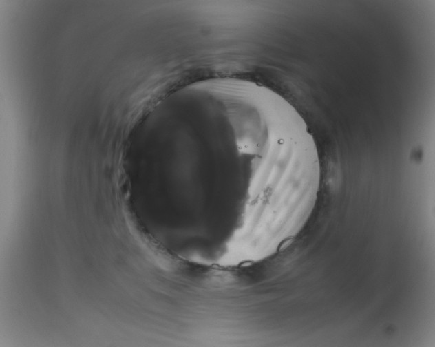 X0000112530519200909071401