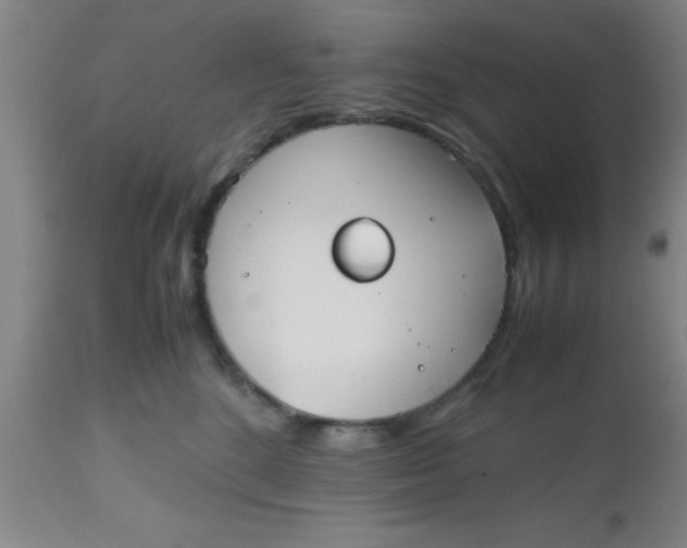 X0000112530520200909071401