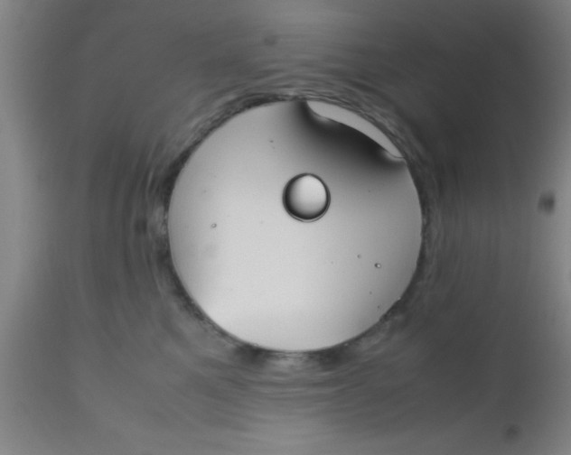 X0000112530521200909071401