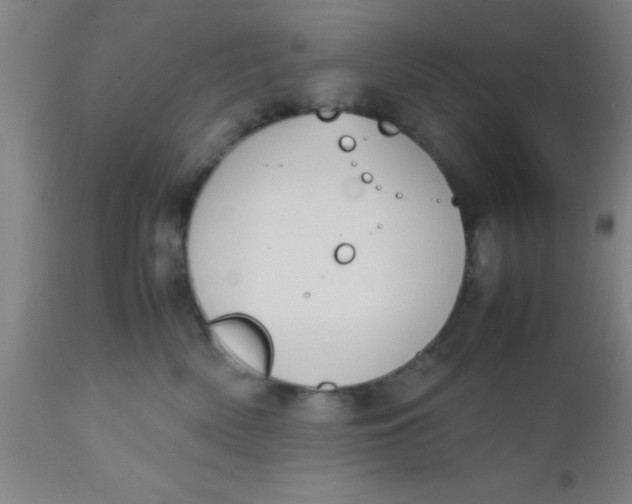 X0000112530522200909071401