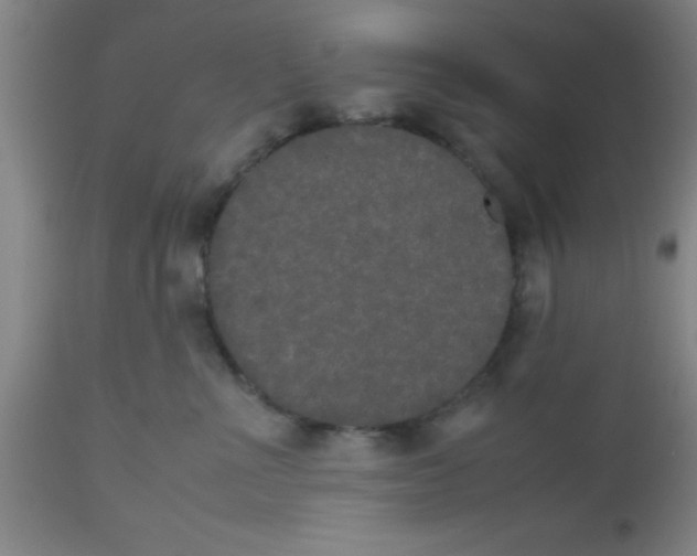 X0000112530523200909071401