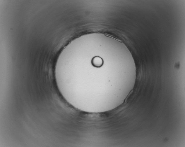 X0000112530524200909071401