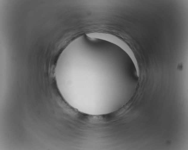 X0000112530525200909071401