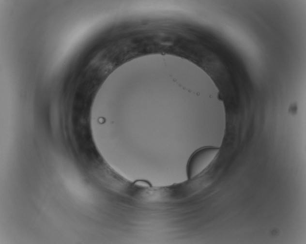 X0000112530526200909071401