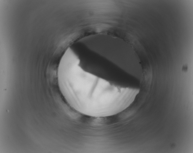 X0000112530527200909071401