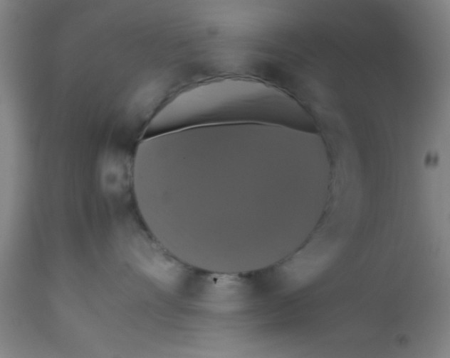 X0000112530528200909071401