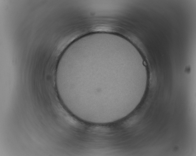 X0000112530529200909071400