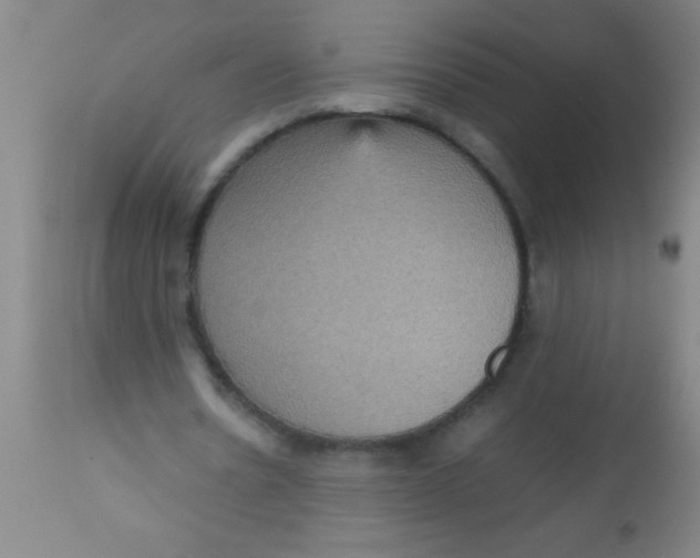 X0000112530530200909071400