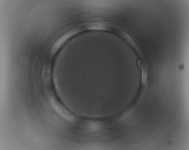 X0000112530531200909071400