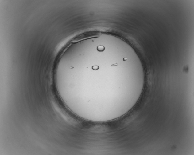 X0000112530536200909071400