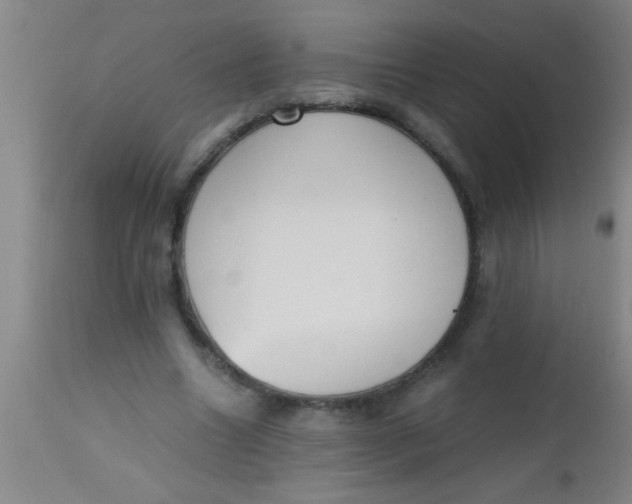 X0000112530538200909071400