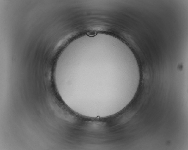 X0000112530539200909071400