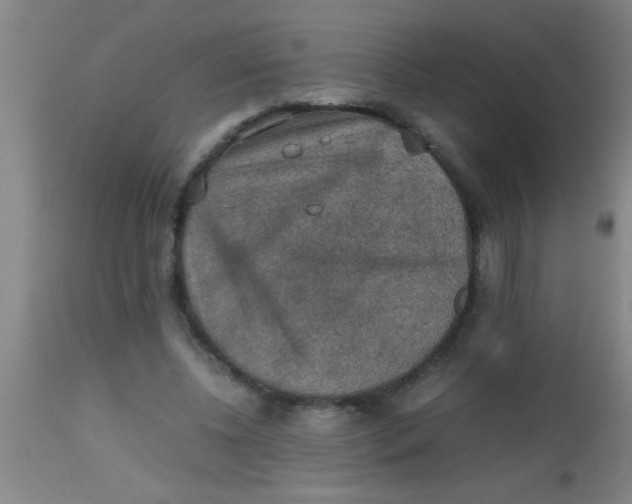 X0000112530540200909071400