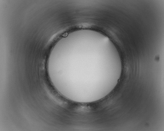 X0000112530543200909071400