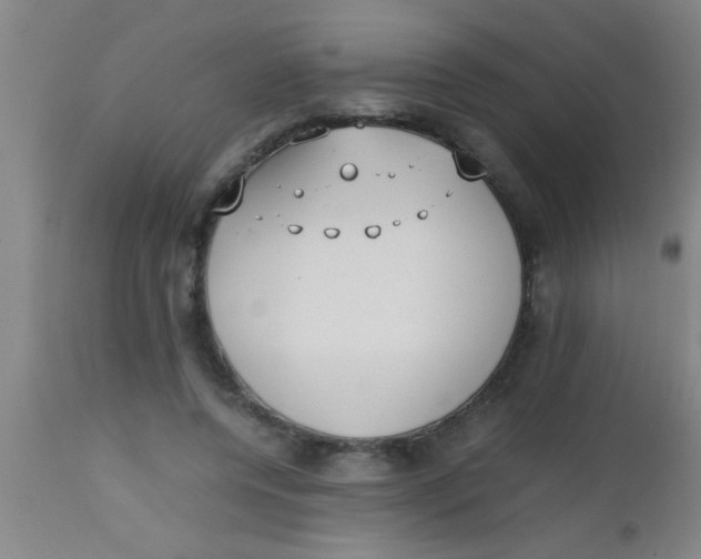 X0000112530544200909071400